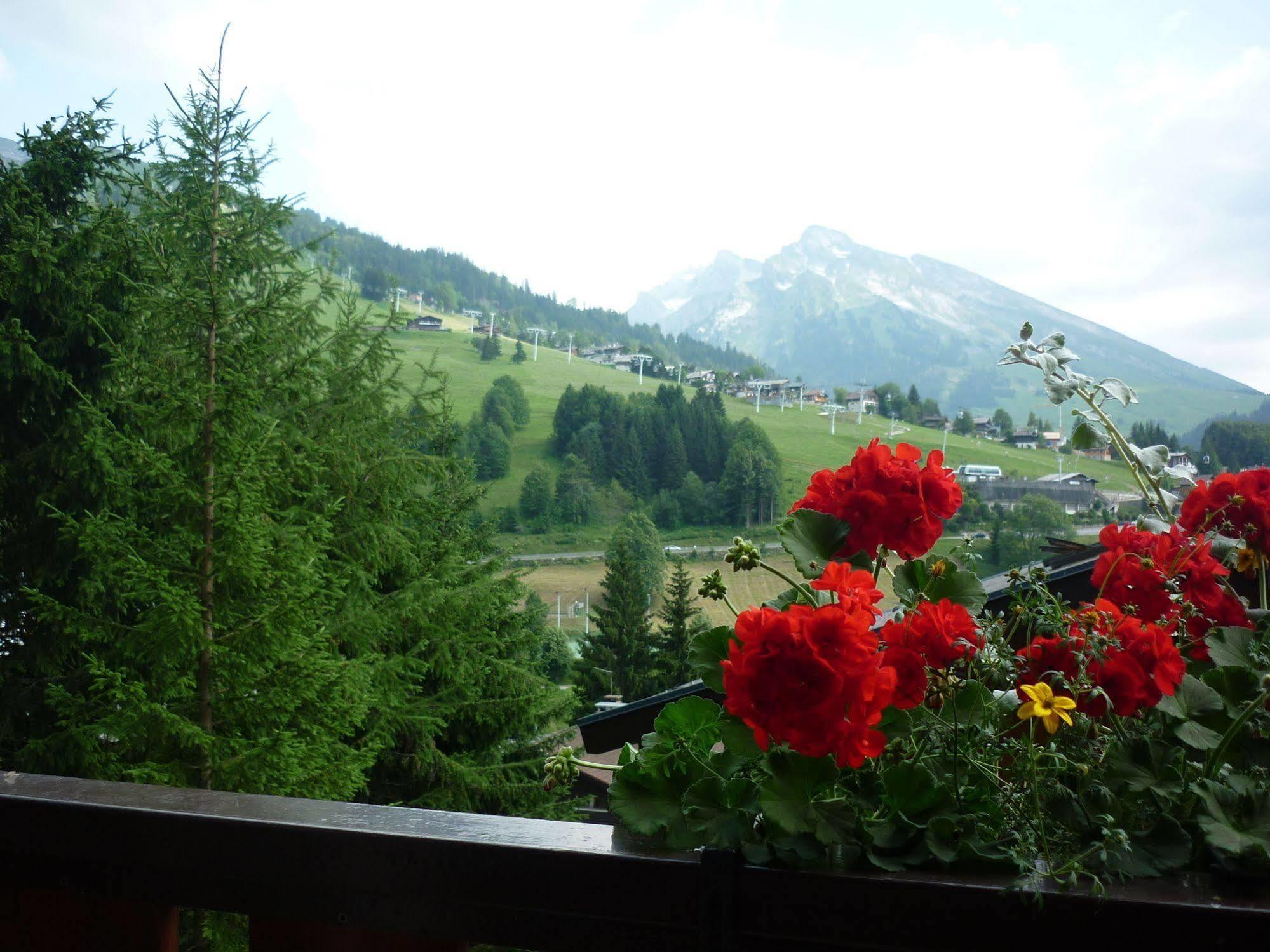 Location D'Appartements - La Residence La Clusaz Exterior photo